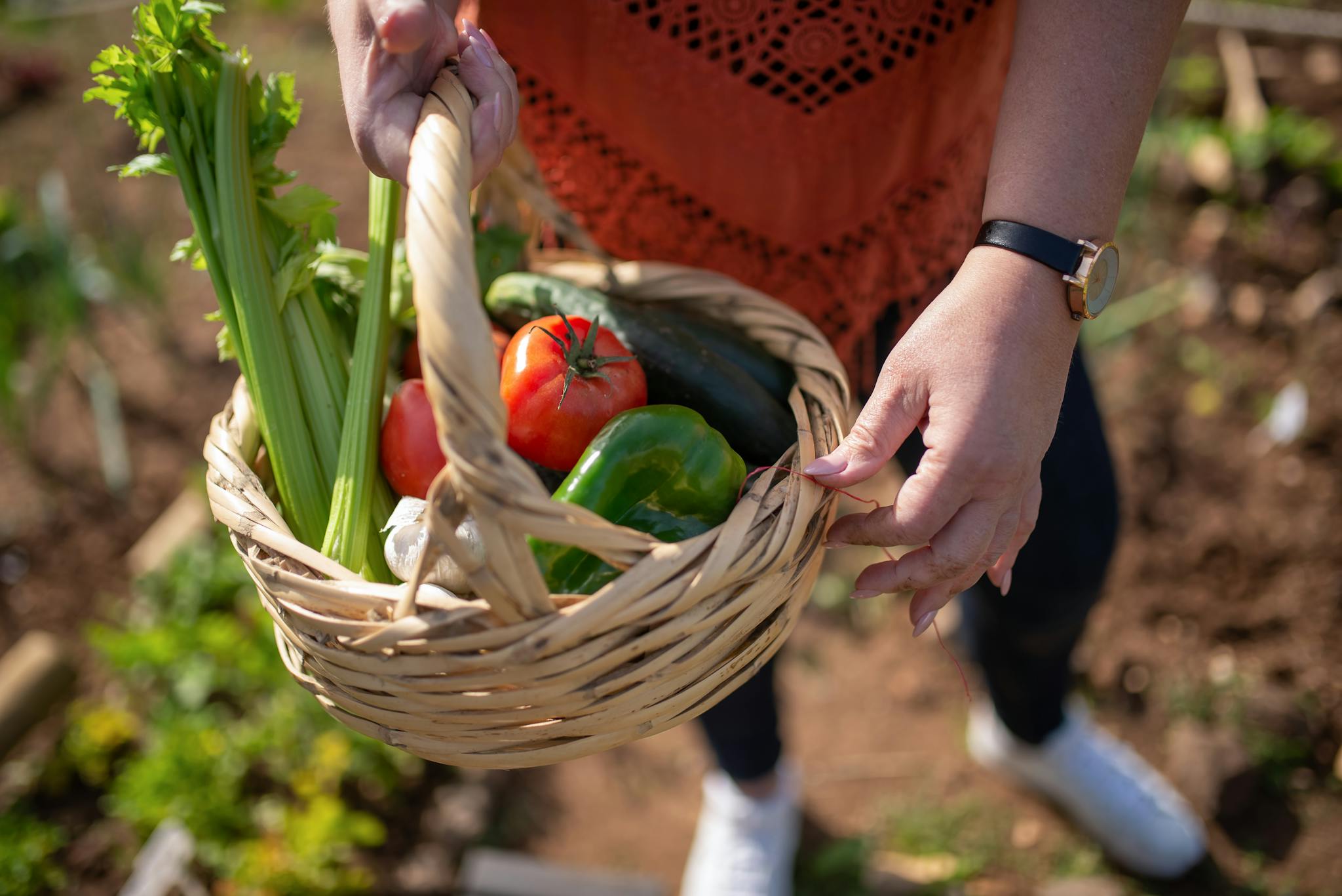 Close-up of a wicker basket filled with freshly harvested vegetables held outdoors in a garden.